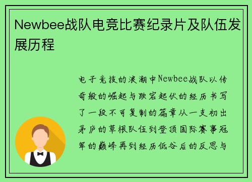 Newbee战队电竞比赛纪录片及队伍发展历程