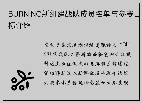 BURNING新组建战队成员名单与参赛目标介绍